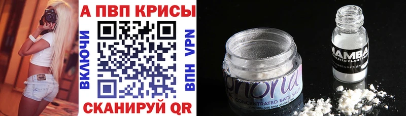 площадка как зайти  Бабаево  A-PVP СК 