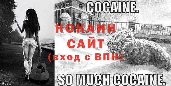 экстази Пересвет