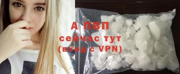 дживик Переславль-Залесский