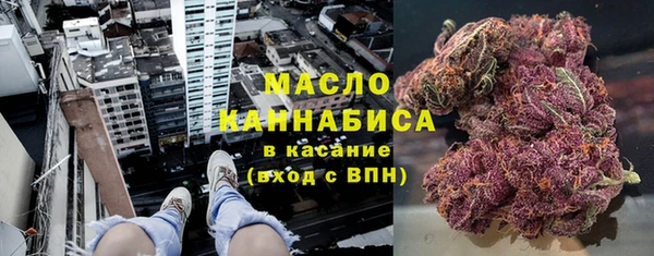 дживик Переславль-Залесский
