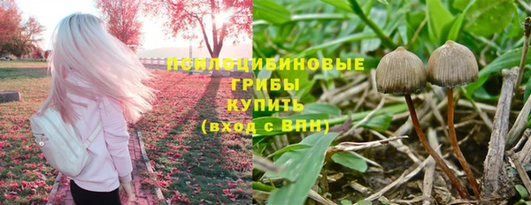 дживик Переславль-Залесский