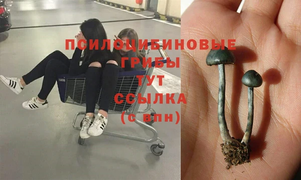 экстази Пересвет