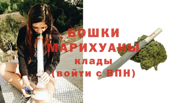 ПСИЛОЦИБИНОВЫЕ ГРИБЫ Пестово