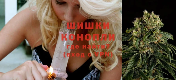 дживик Переславль-Залесский